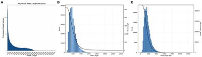 Frontiers Transcript Complexity And New Insights Of Restorer Line In